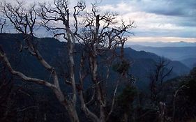 Kausani Best Inn